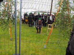 Schützenfest 2024